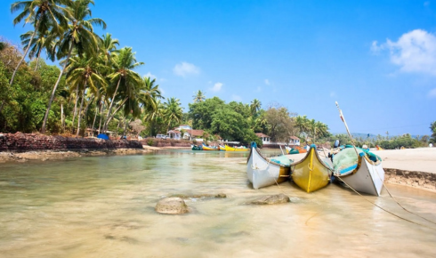 affordable Goa travel packages and expert services from Flamingo Travels