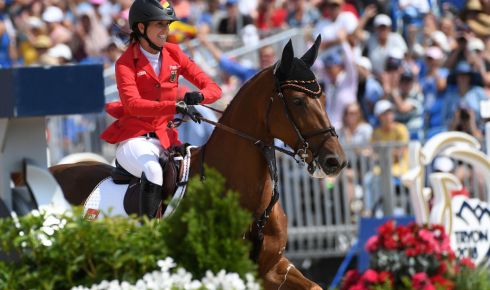 durable horse jumping rails